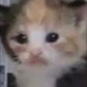 Meet your Posher, Katelynn